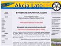 Akcja Lato